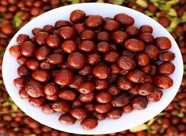 تصویر 3 از قیمت عناب درجه یک+ خرید باور نکردنی